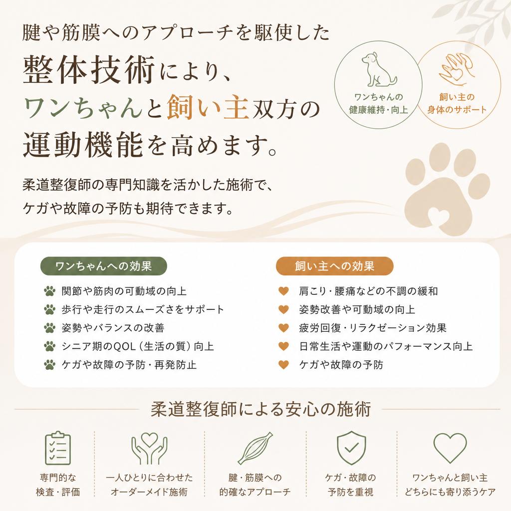 特別な整体技術