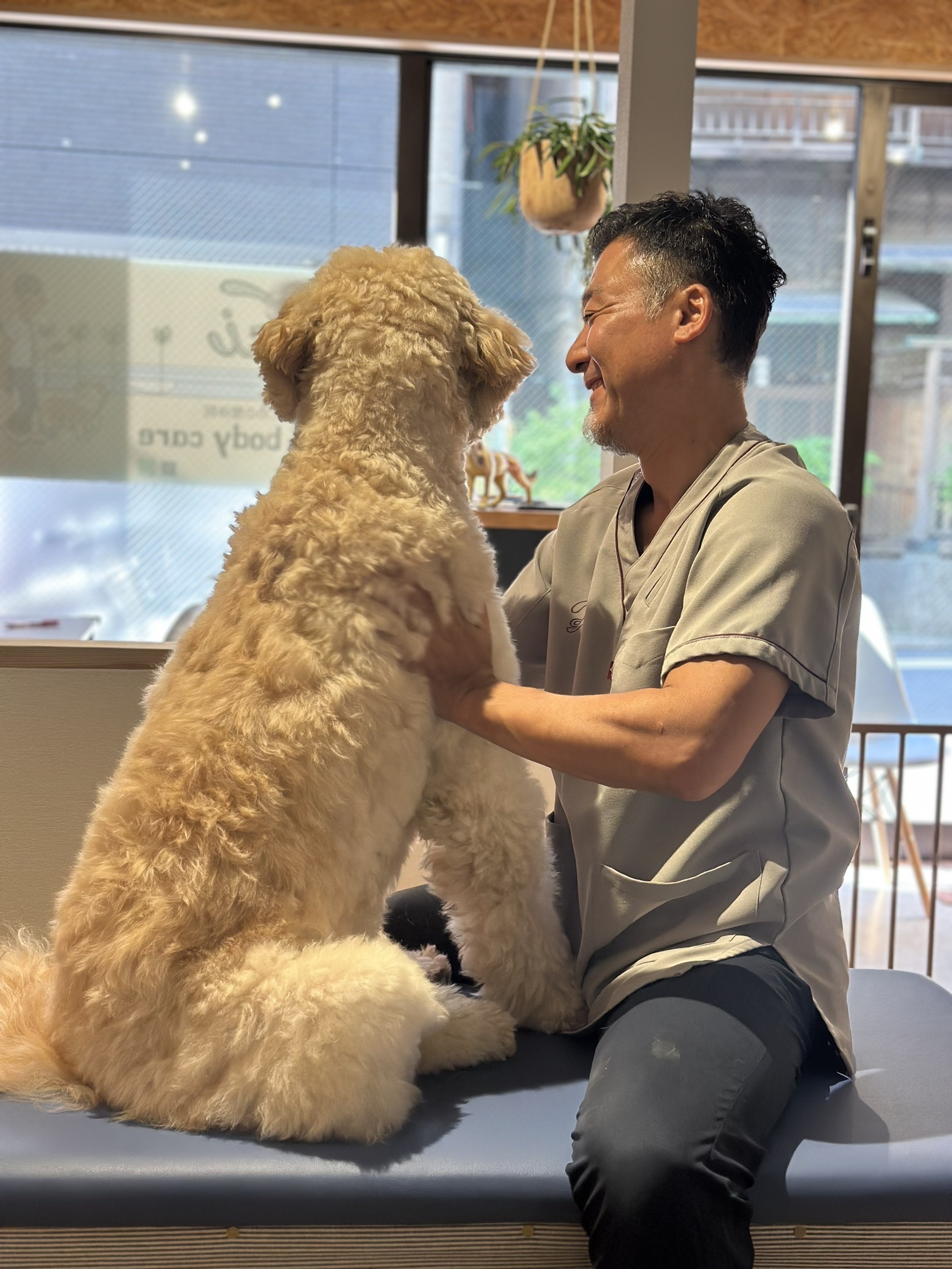 愛犬の変化を見逃さない