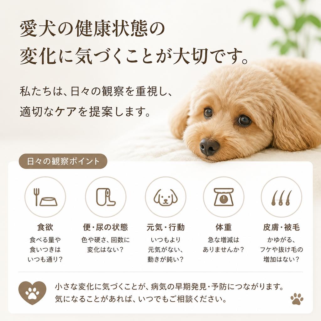日々の観察が愛犬の健康の鍵