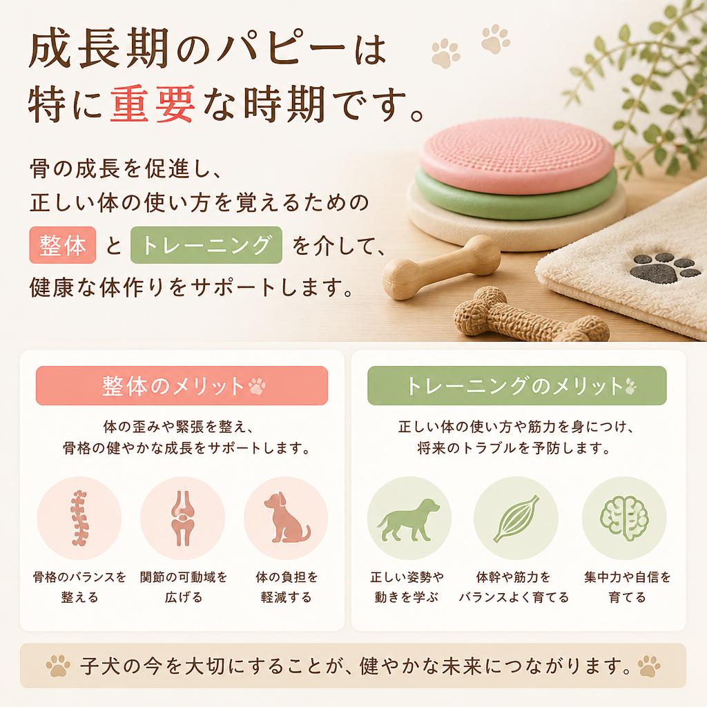 パピーに必要なケアとは？