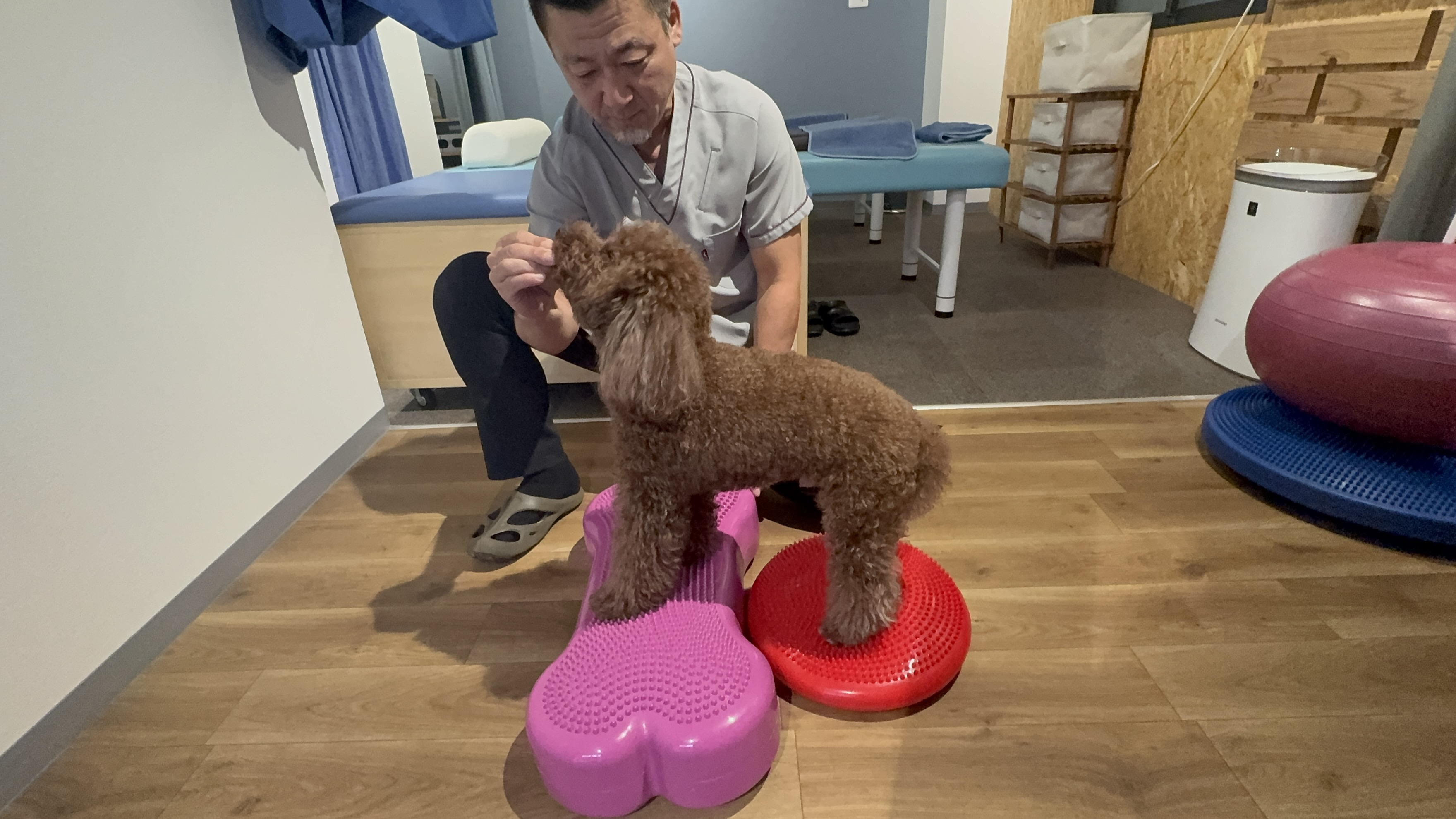 お問い合わせから始まる健康への第一歩